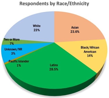 Survey Respondents by Ethnicity